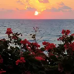 صن كاميرو