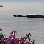 صن كاميرو