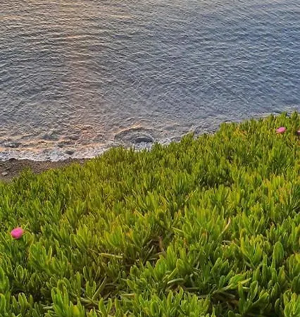 Sun Camero 아파트 *