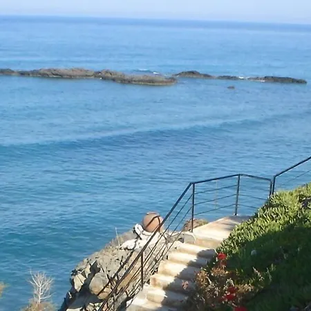 Sun Camero 포모스