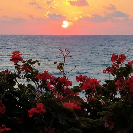 Sun Camero