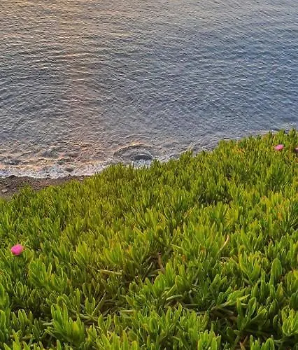 Sun Camero Apartman *